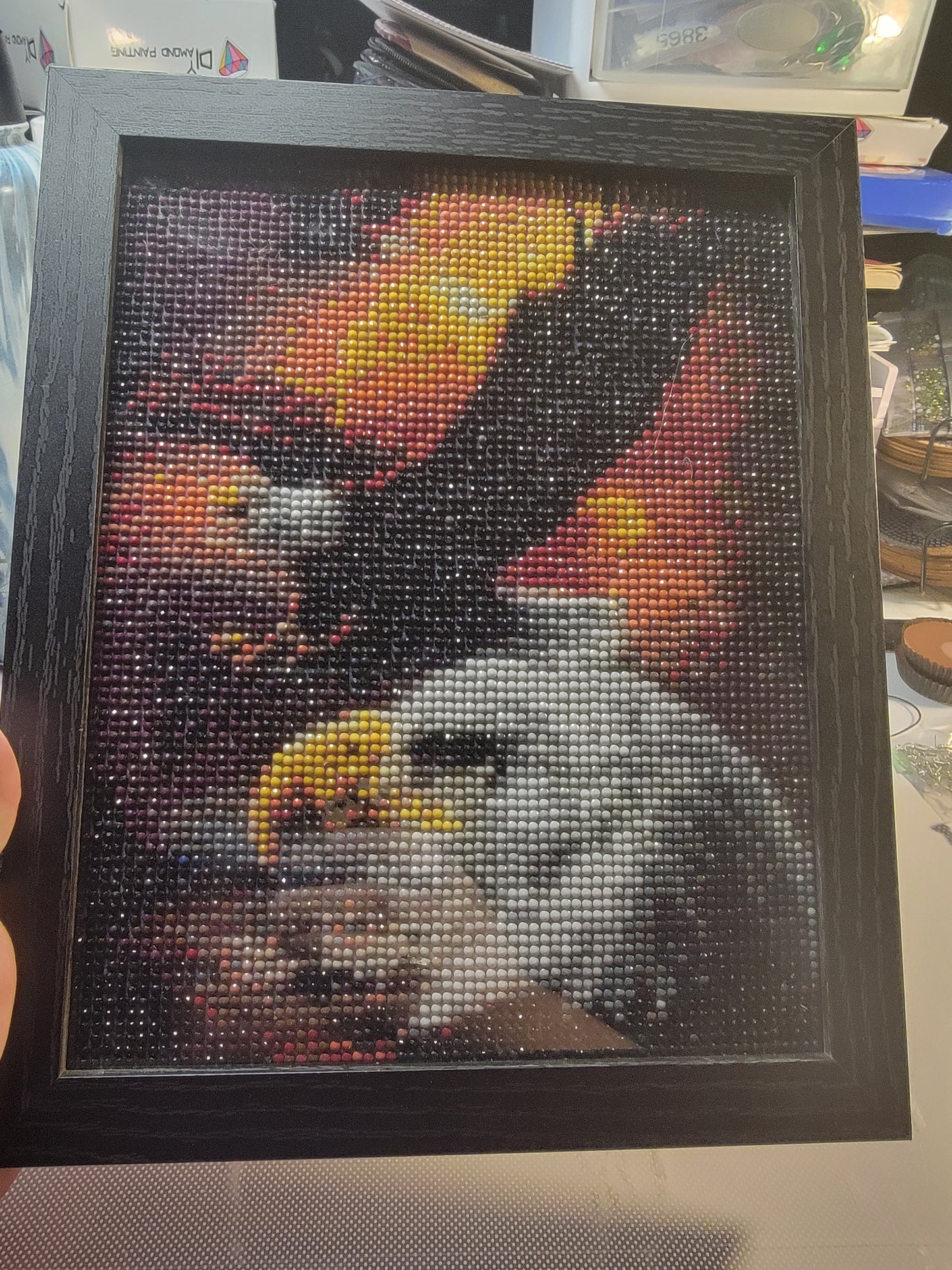 Garden/Nature themed Diamond art