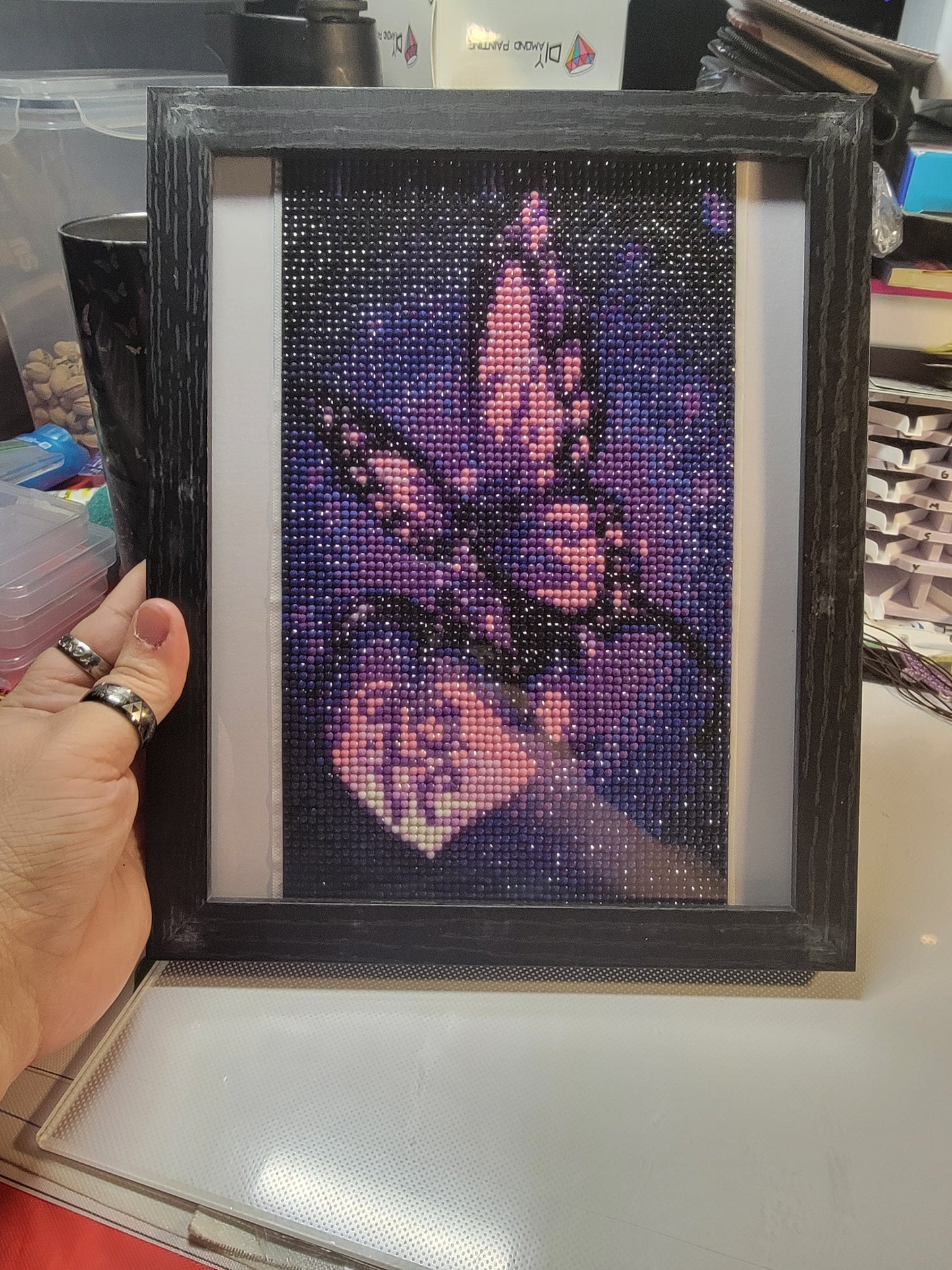 Garden/Nature themed Diamond art