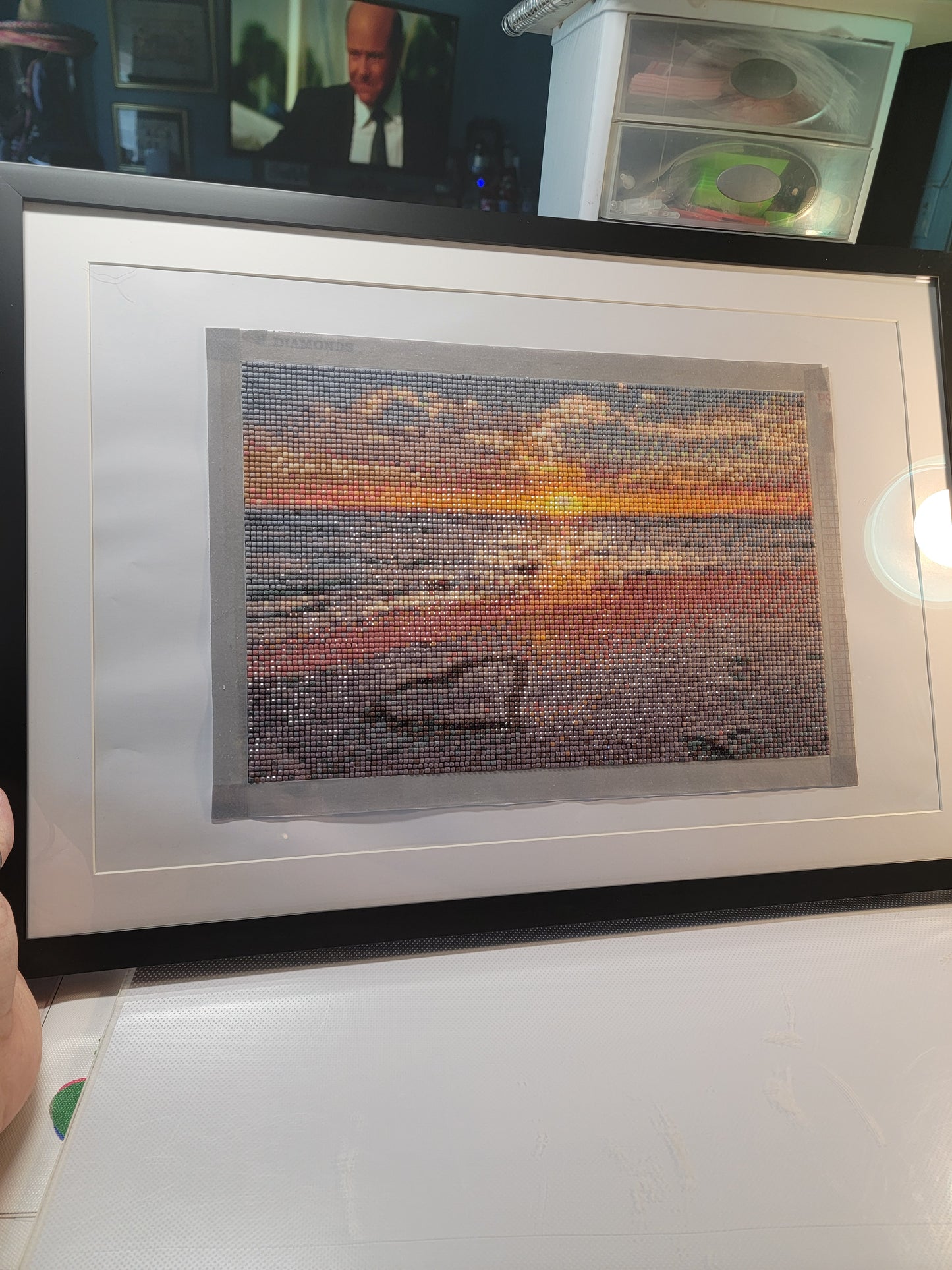 Garden/Nature themed Diamond art