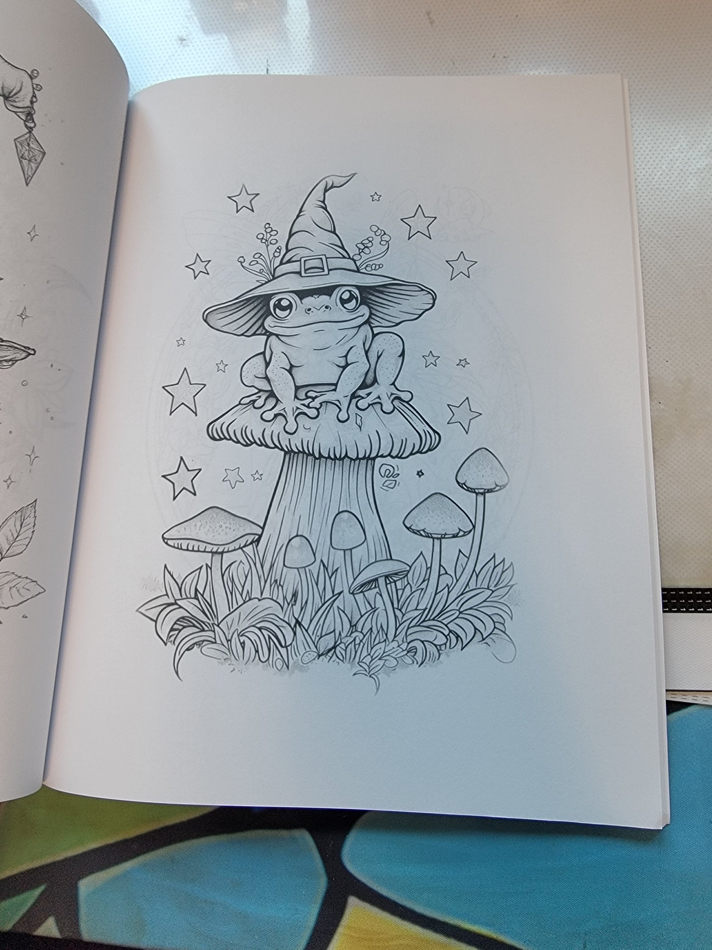 Coloring Books