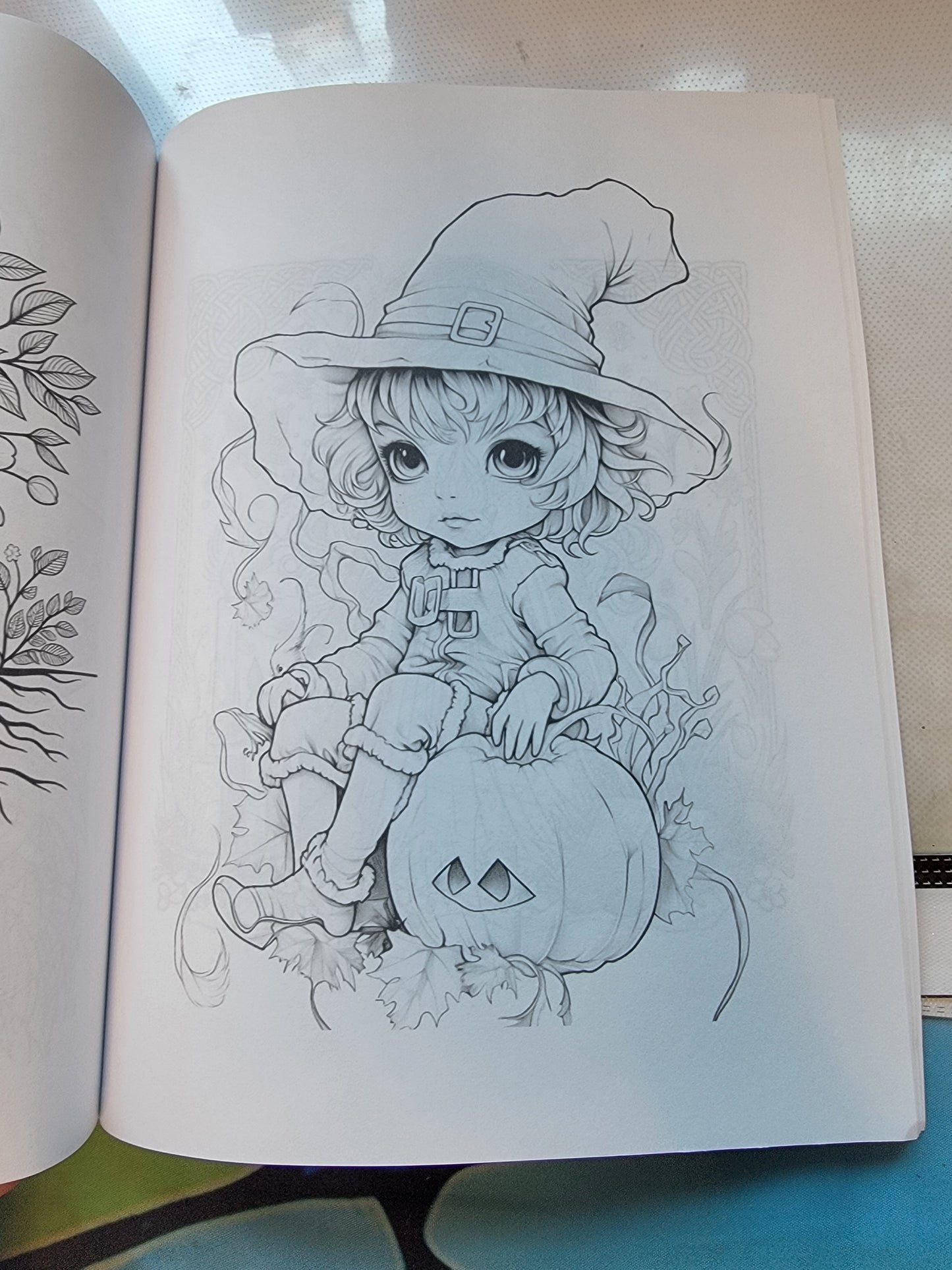 Coloring Books