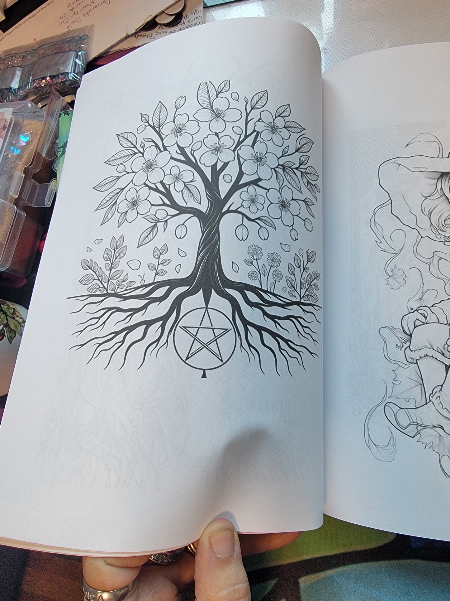 Coloring Books