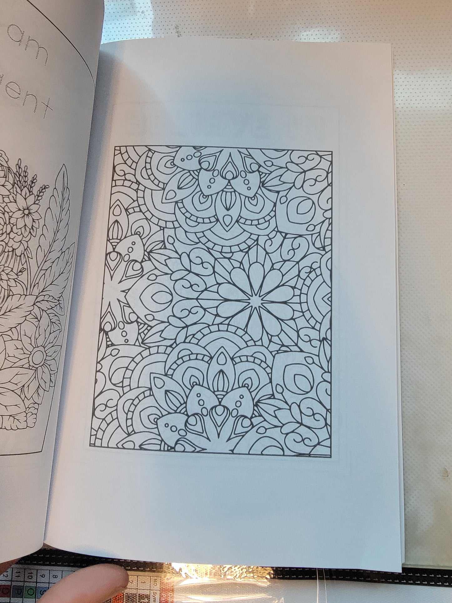 Coloring Books